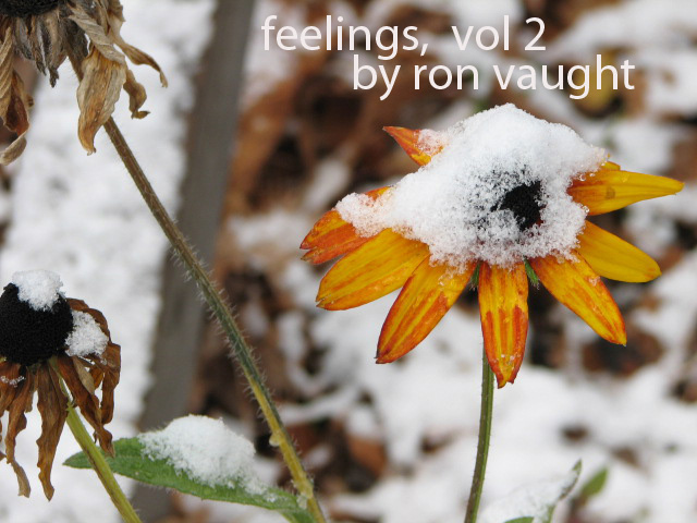 Feelings, vol 2