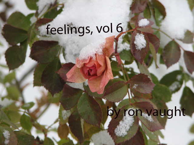 Feelings, vol 6